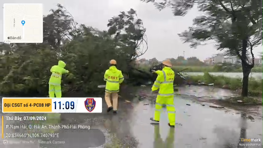 Đội Cảnh sát giao thông số 4 dọn cây đổ tuyến đường Đình Vũ